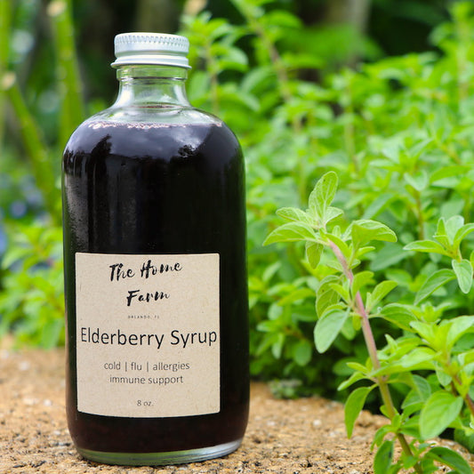 Take One Organic Elderberry Syrup